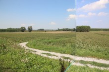 IMG_3477_960