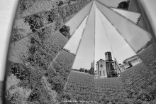IMG_4222