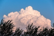IMG_5115