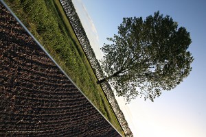 IMG_8740