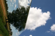 alberi_nuvole_IMG_3228