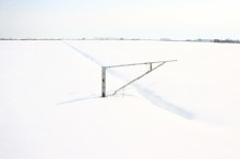 neve_IMG_2415