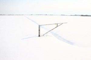 neve_IMG_2415