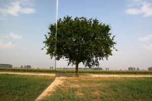 specchio_IMG_1262
