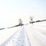 neve_IMG_2383