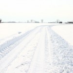 neve_IMG_2386