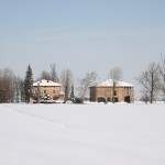 neve_IMG_2389