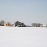 neve_IMG_2418