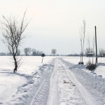 neve_IMG_2452