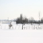 neve_IMG_2692