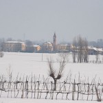 neve_IMG_2698